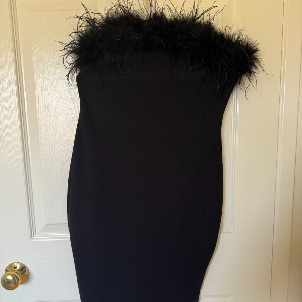 Black Feather Lined Dress (LBD)